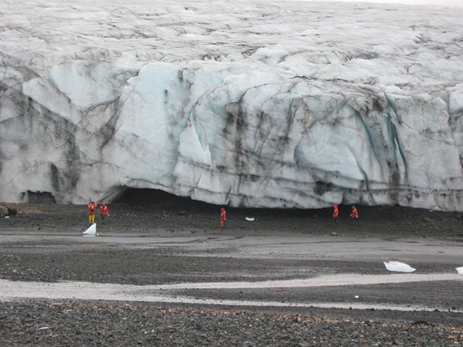 Ecology Glacier, King George Island, Antarctica